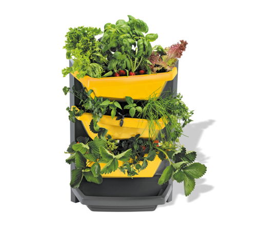 養花也要高bigger,這些獲獎產品你見過嗎