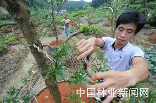 安?；井a品暢銷