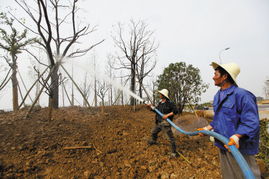 寧波植物園 萬株苗木育生態，百樣花卉綻芳華